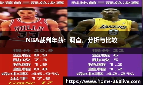 NBA裁判年薪：调查、分析与比较